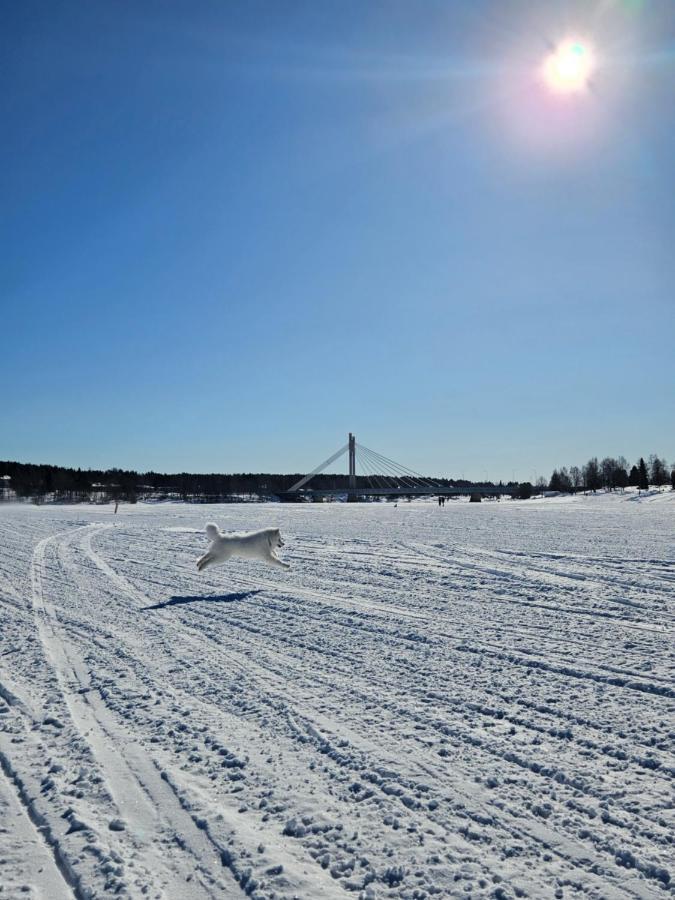 Make Yourself At Home Rovaniemi Exteriör bild